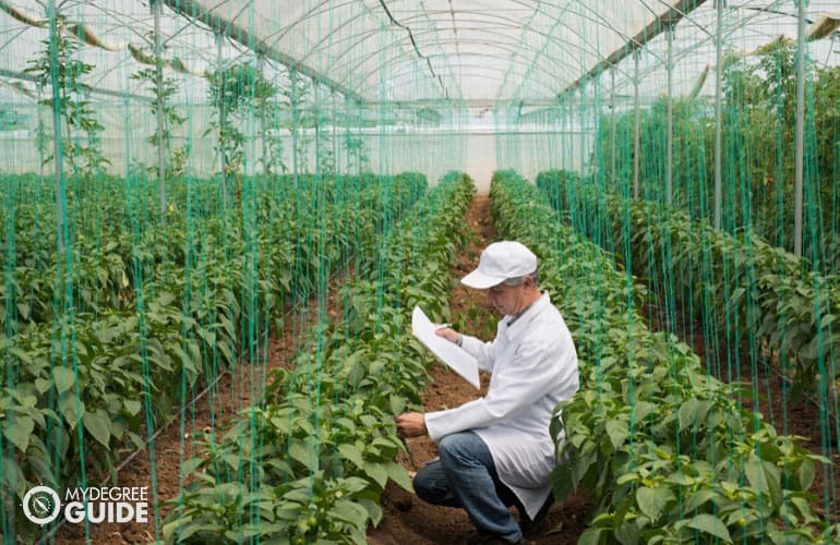 agribusiness owner checking on his plants in a botanical garden