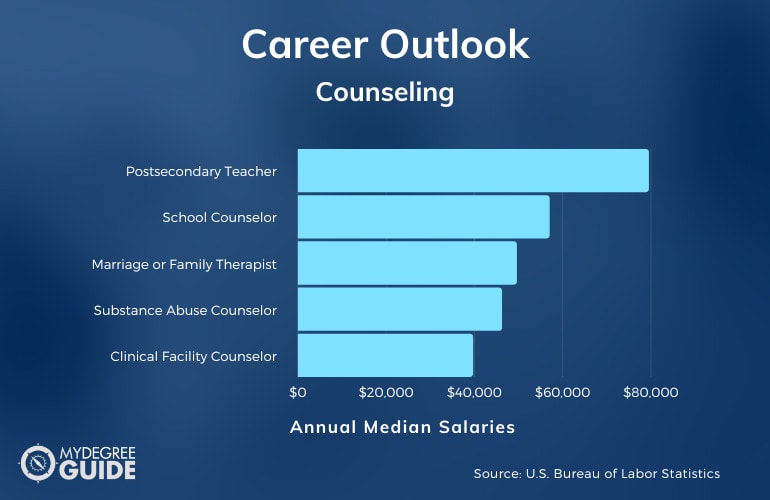 PhD in Counseling Career Outlook