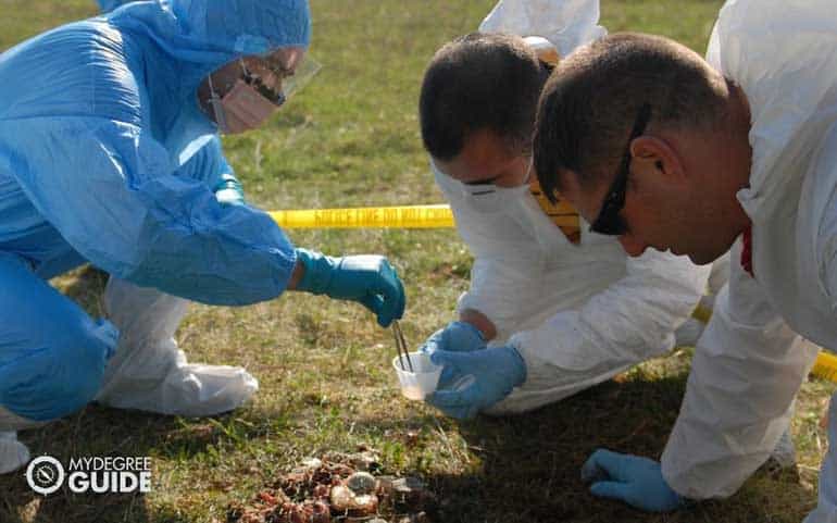 forensics students in a mock crime scene investigation
