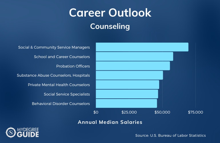 Careers with an Accelerated Counseling Degree