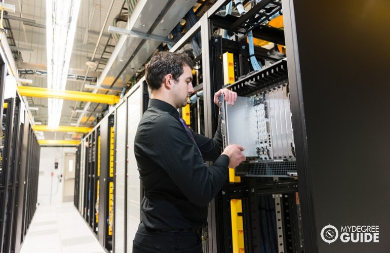network administrator working in data room