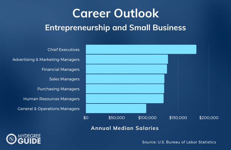 Entrepreneurship and Small Business Careers & Salaries
