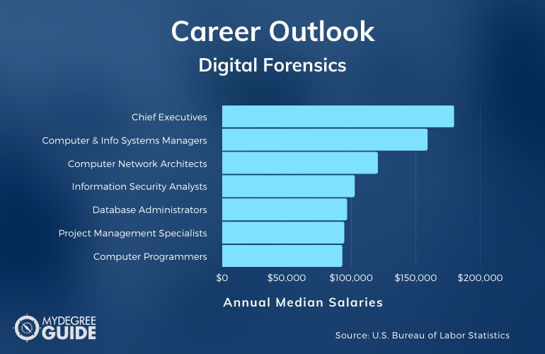 Digital Forensics and Cyber Security Careers & Salaries