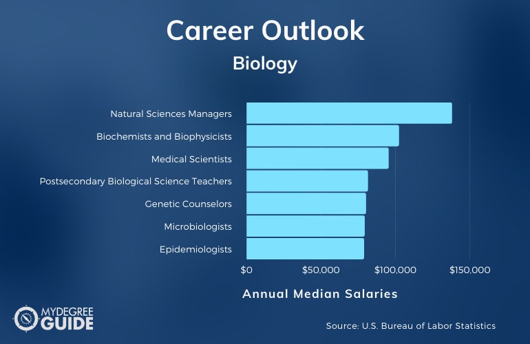 PhD in Biology Careers and Salaries