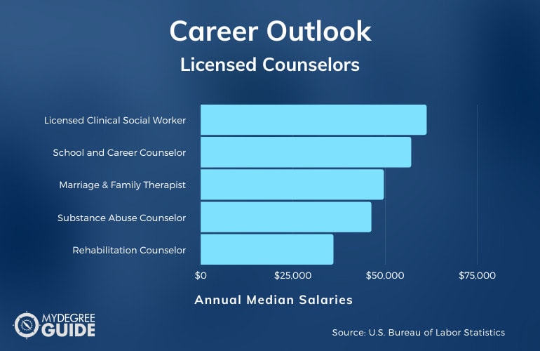 Graph showing Careers for Licensed Counselors and their Salaries