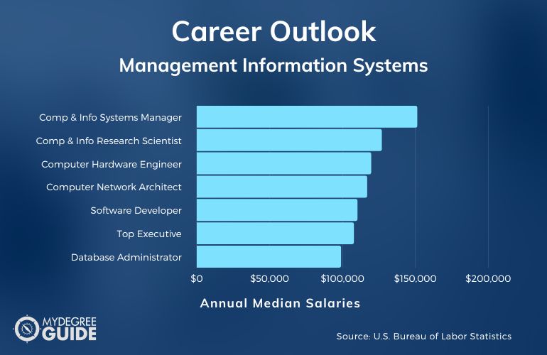 Management Information Systems Major Careers