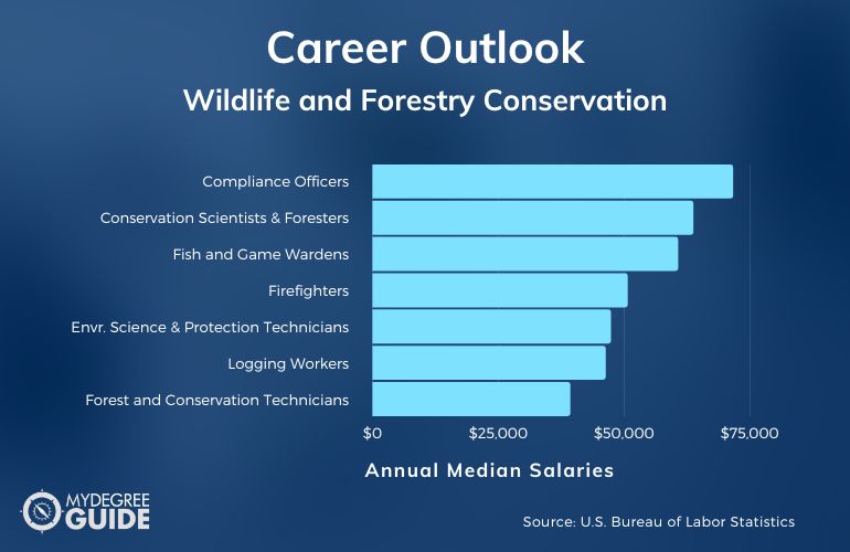 Wildlife and Forestry Conservation Certificate Careers & Salaries