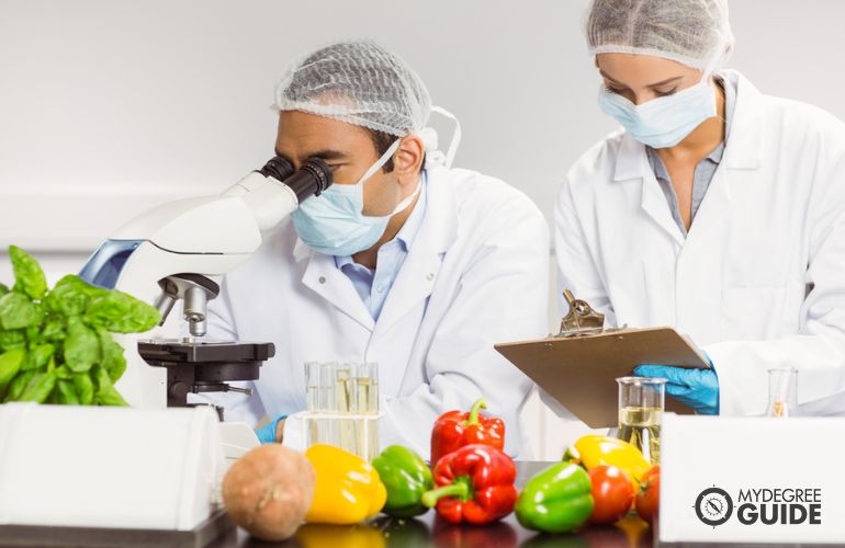 food scientist examining vegetables in a laboratory